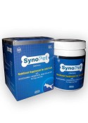 Intas Synopet Nutritional Supplement For Joint Care 120 G